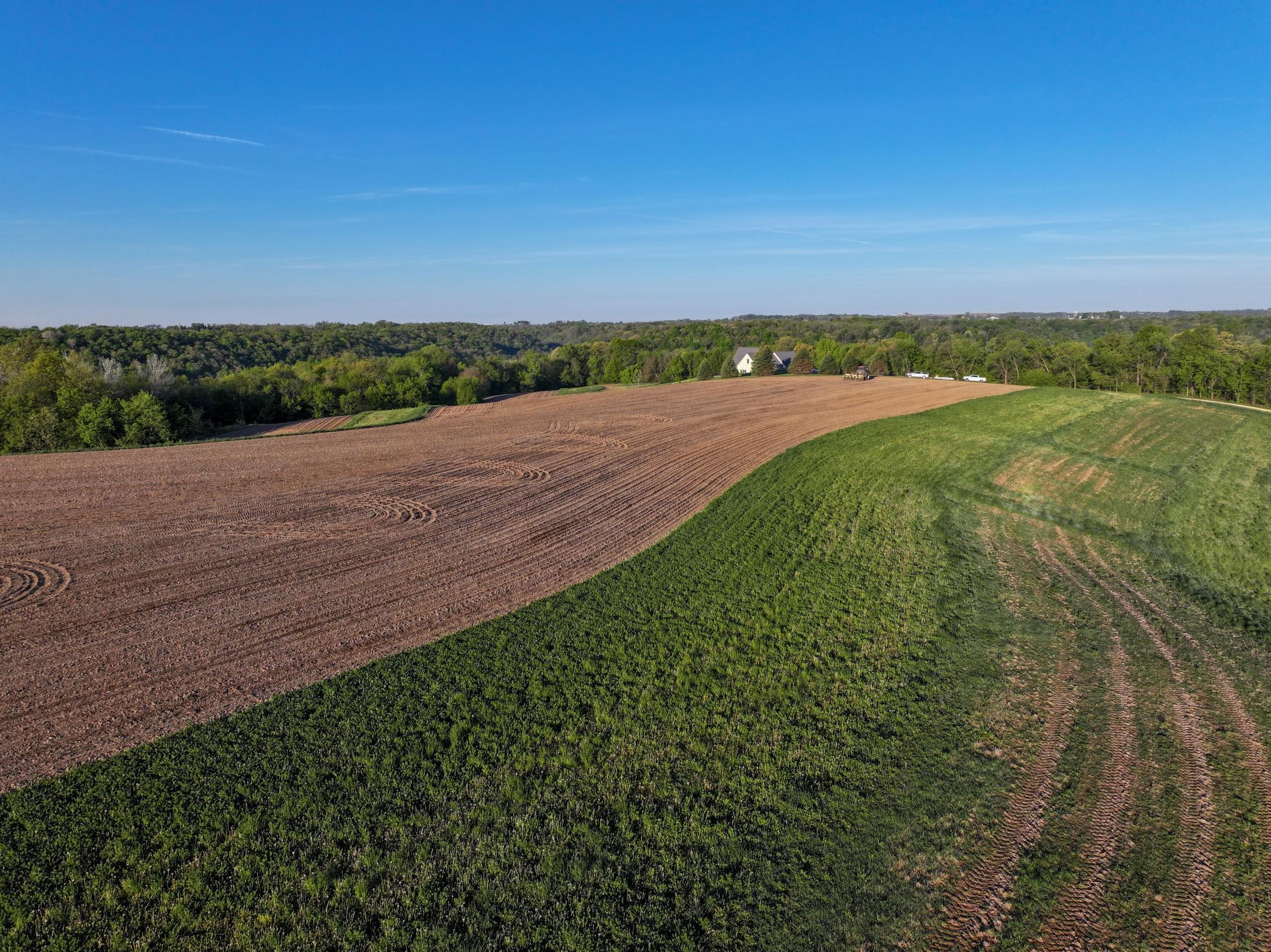19807 Balentine Road Caledonia, MN 55921 - Photo 69 of 91