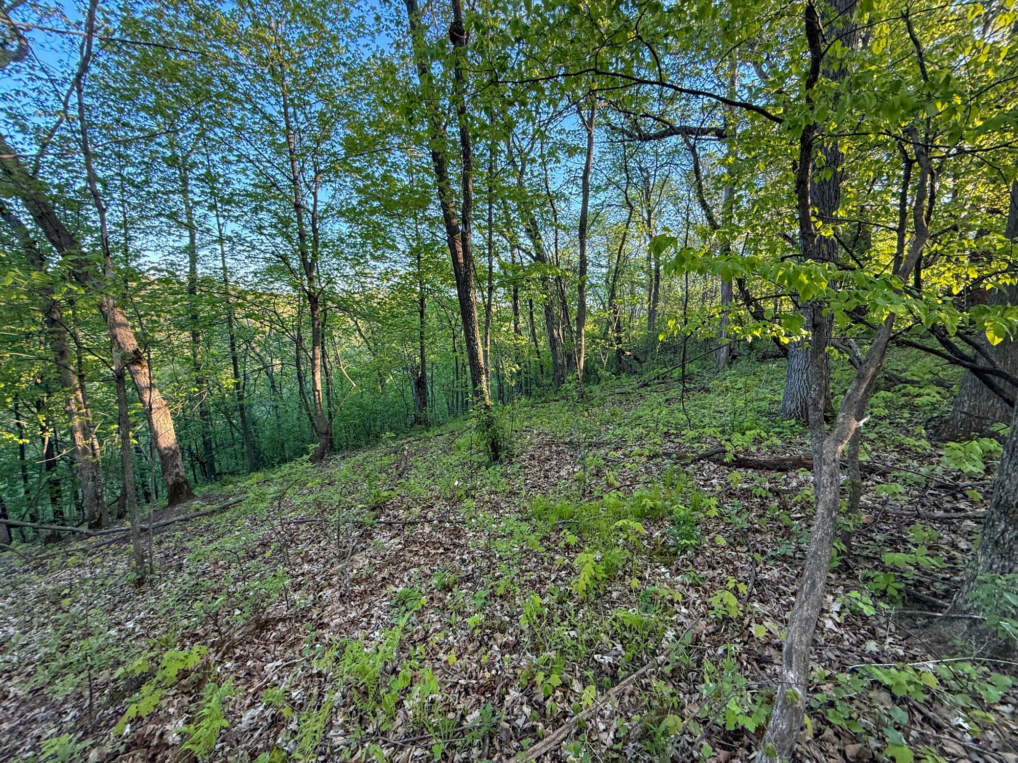 19807 Balentine Road Caledonia, MN 55921 - Photo 72 of 91