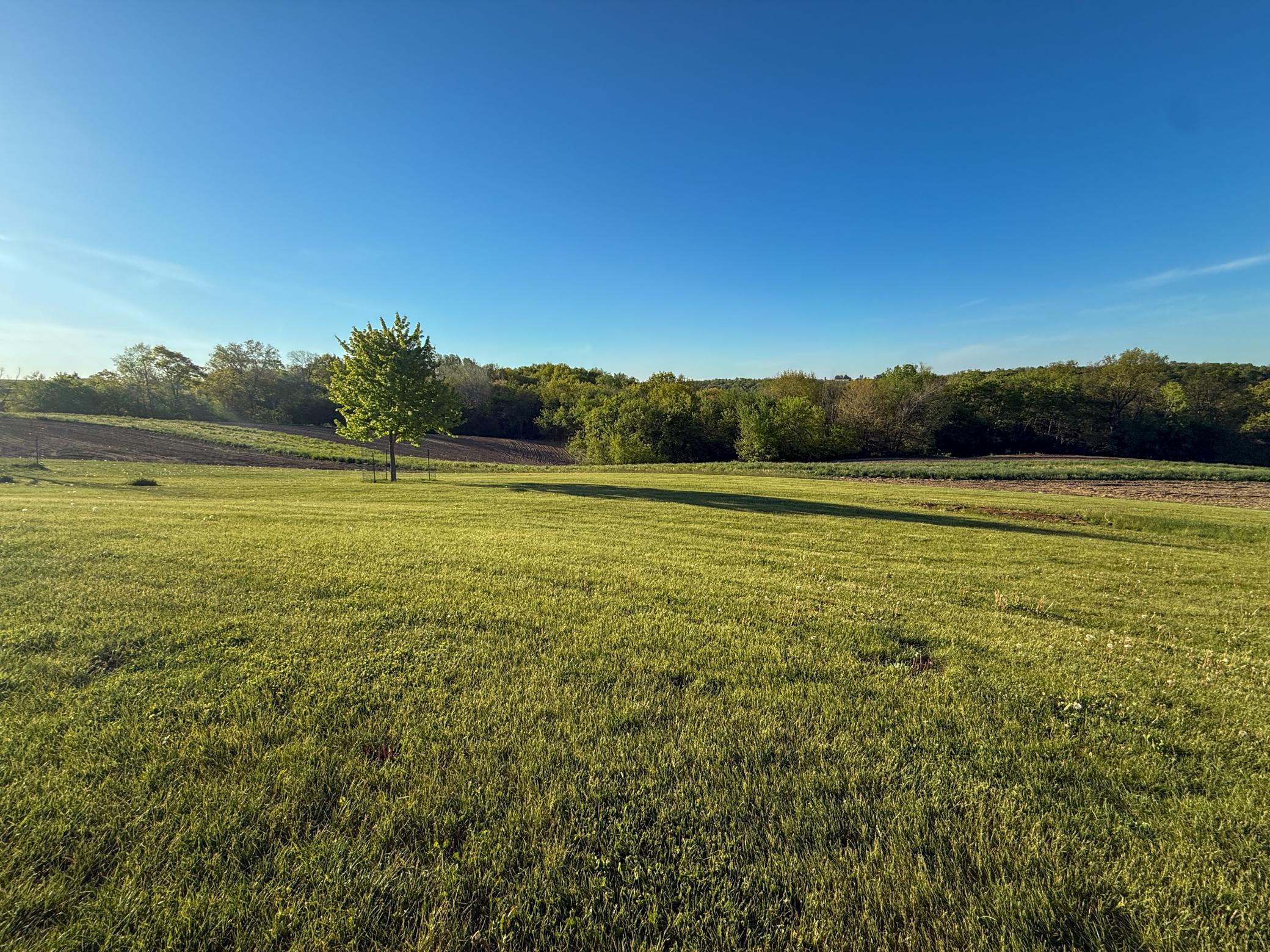 19807 Balentine Road Caledonia, MN 55921 - Photo 74 of 91