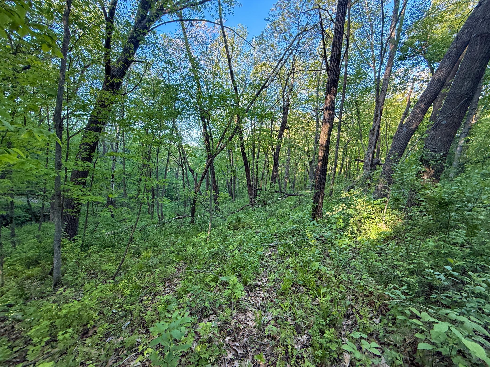 19807 Balentine Road Caledonia, MN 55921 - Photo 78 of 91