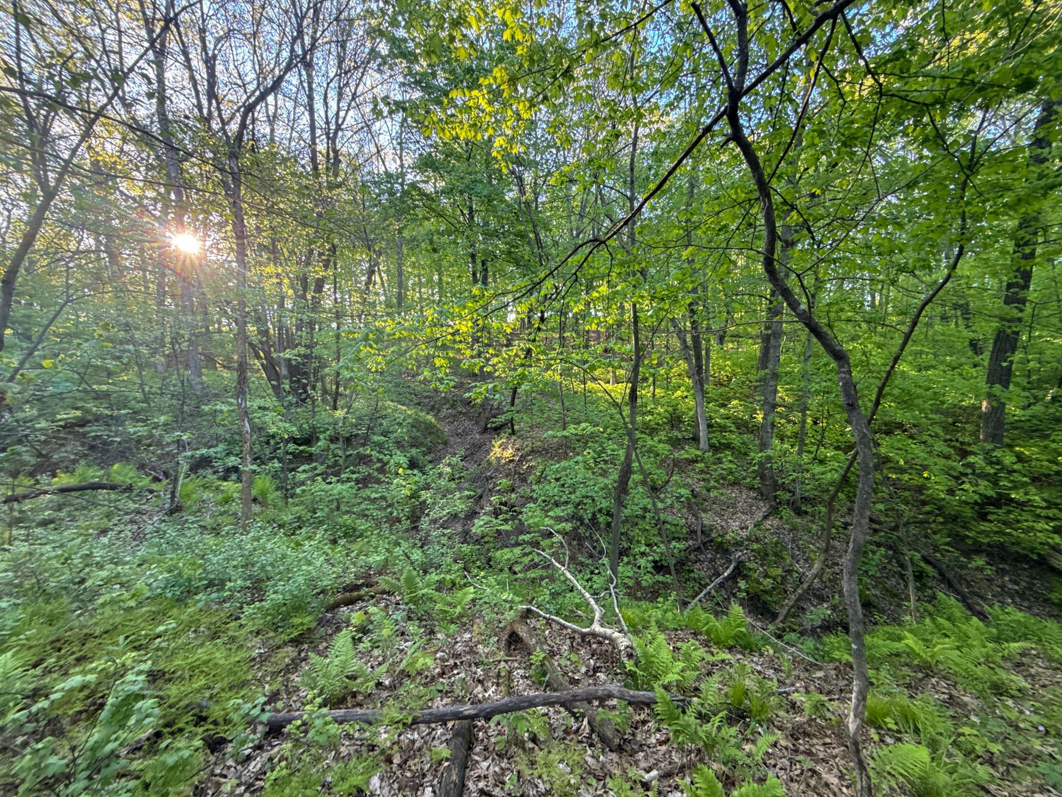 19807 Balentine Road Caledonia, MN 55921 - Photo 80 of 91
