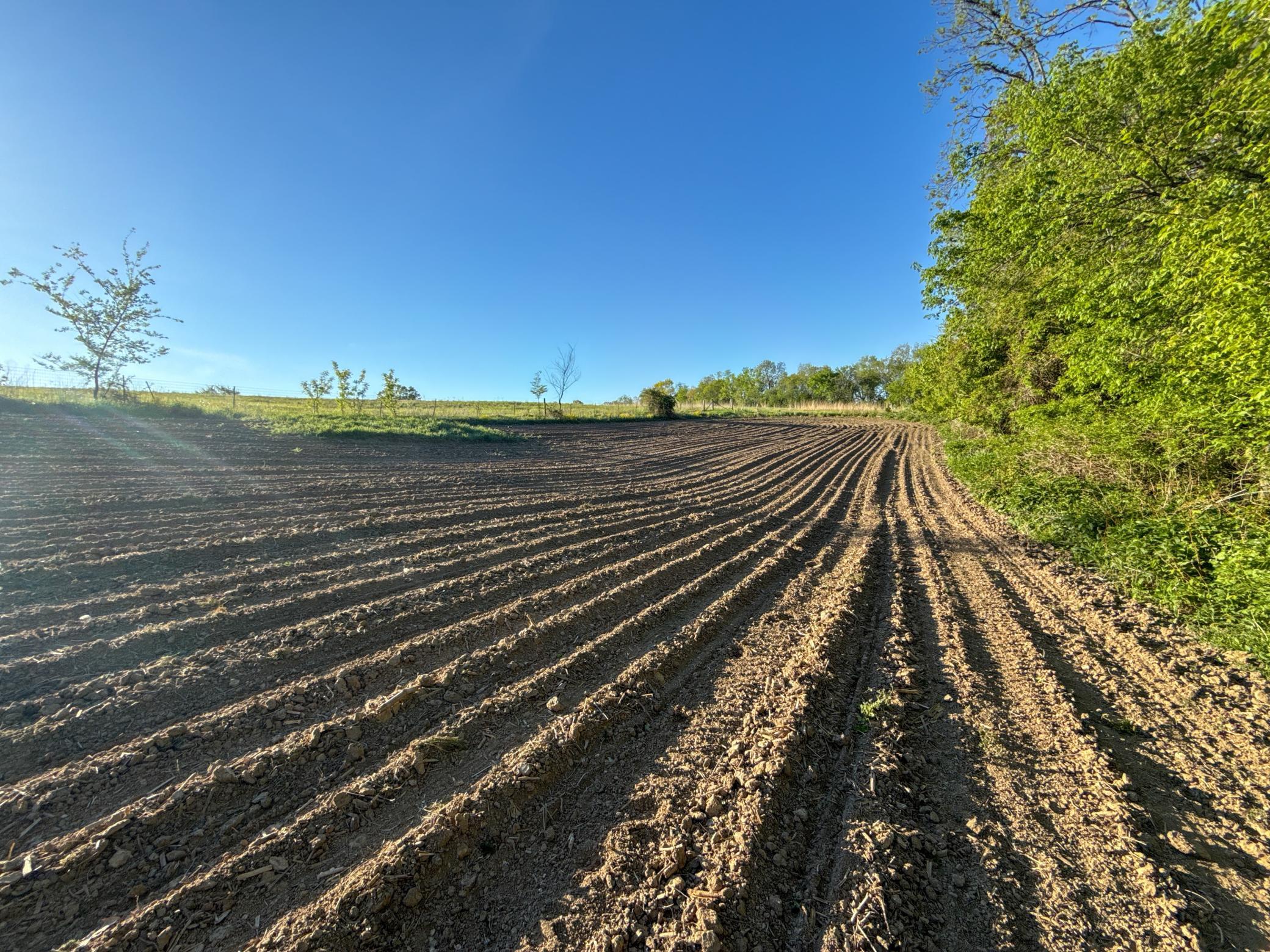 19807 Balentine Road Caledonia, MN 55921 - Photo 83 of 91