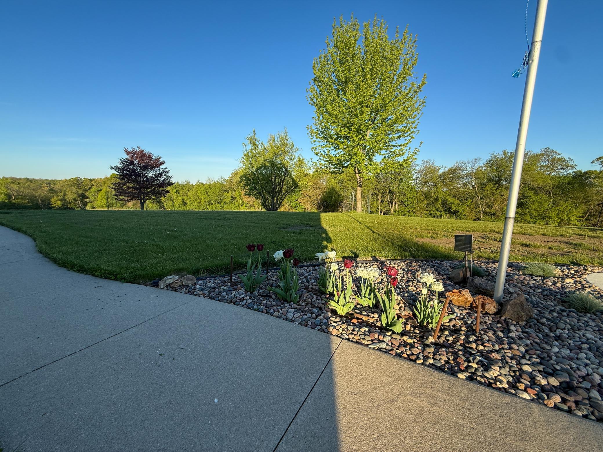 19807 Balentine Road Caledonia, MN 55921 - Photo 87 of 91