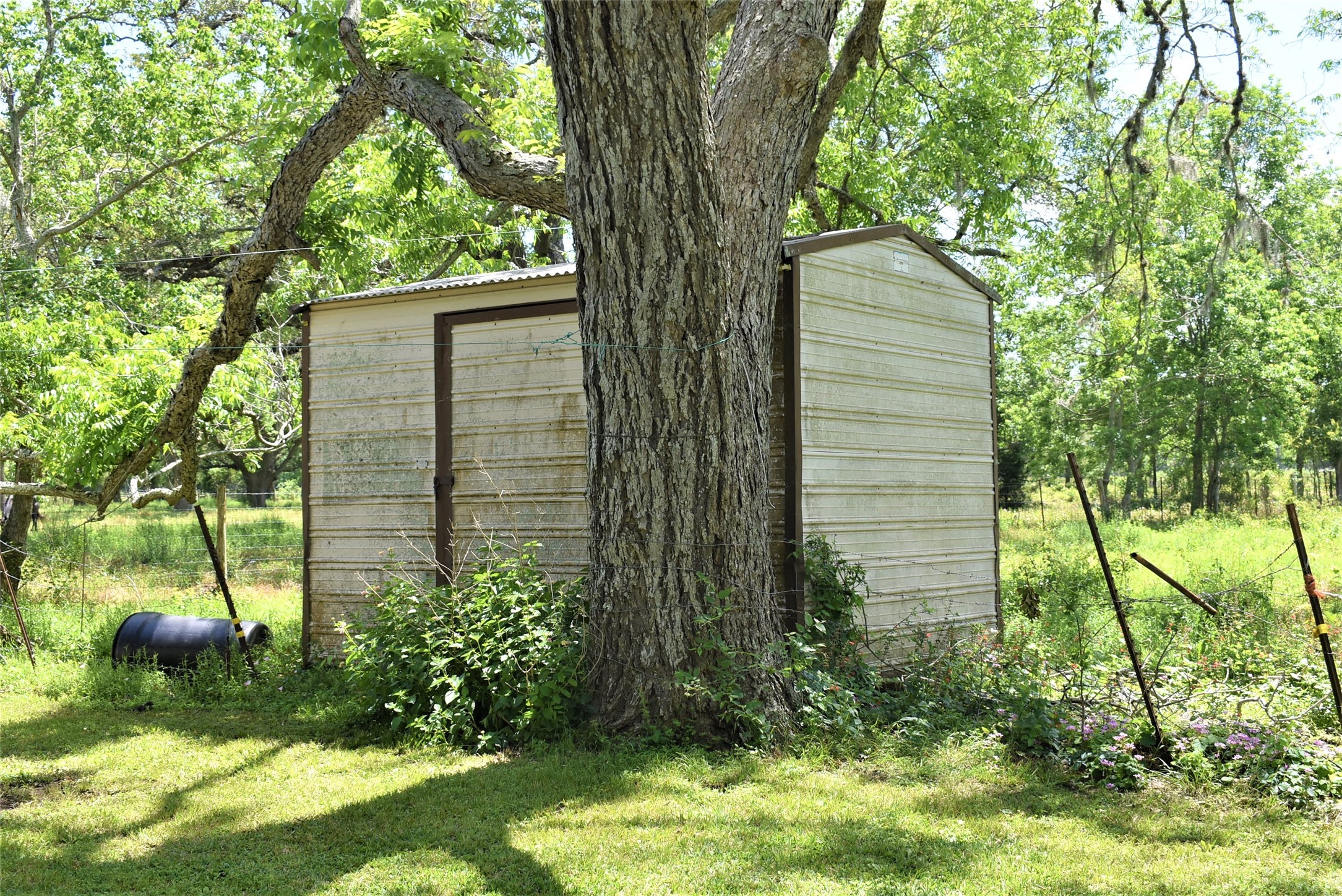 8854 FM 524 Road Sweeny, TX 77480 - Photo 3 of 45 a view of a backyard