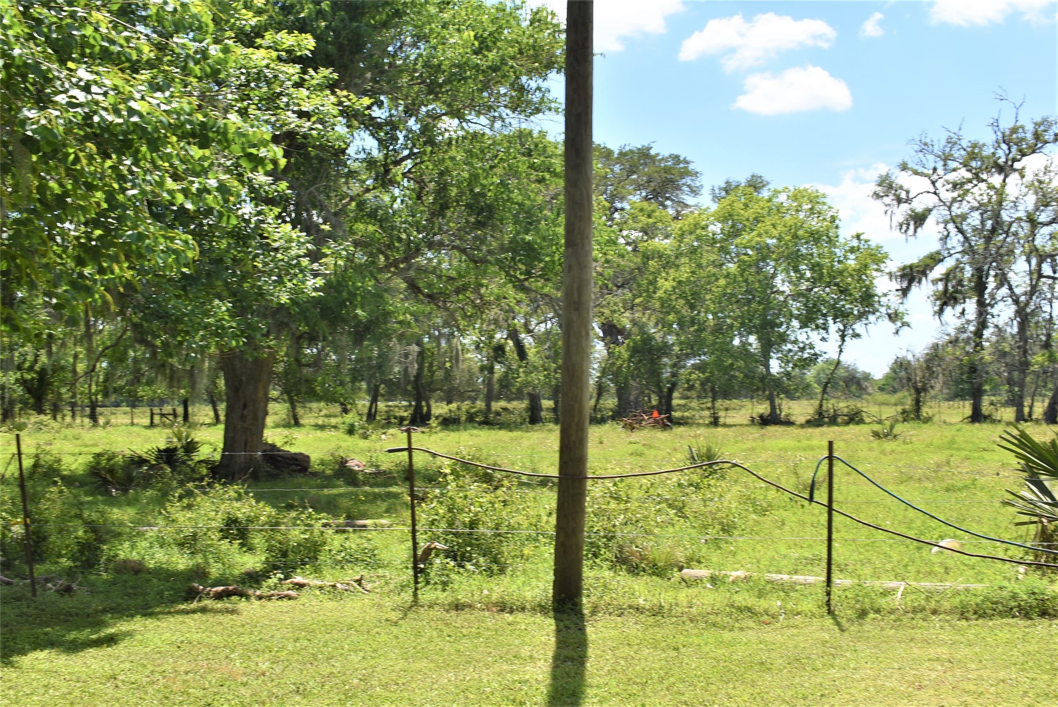 8854 FM 524 Road Sweeny, TX 77480 - Photo 43 of 45 a view of yard with green space