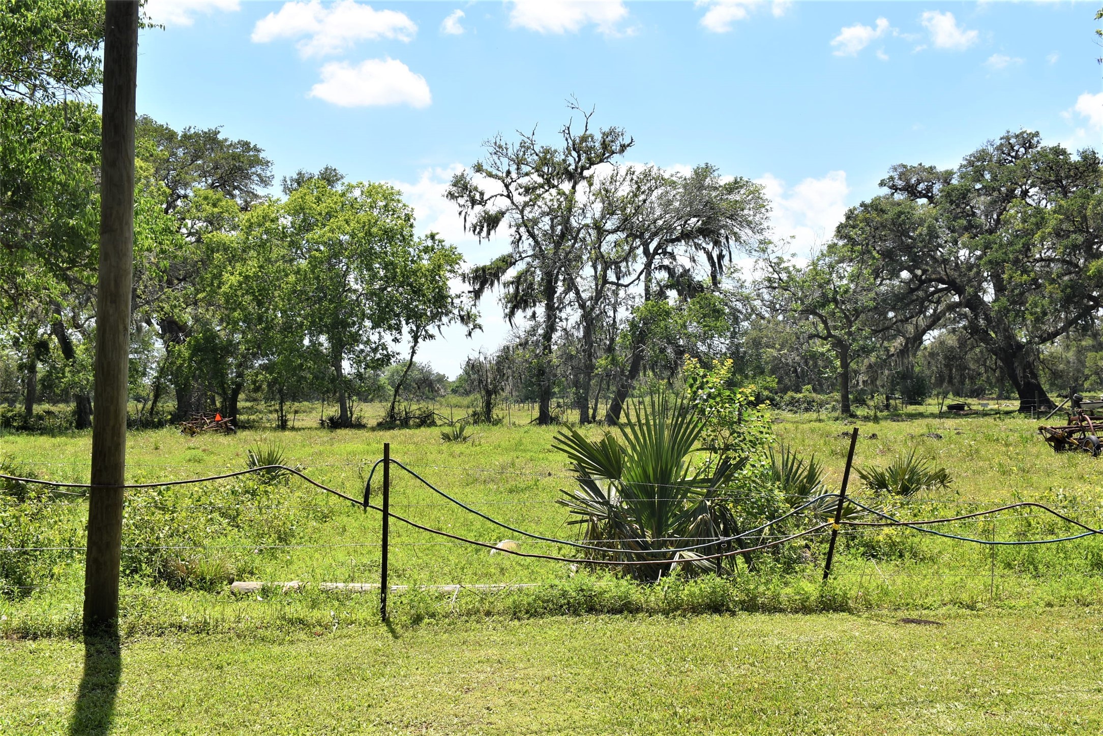 8854 FM 524 Road Sweeny, TX 77480 - Photo 44 of 45 a view of a yard