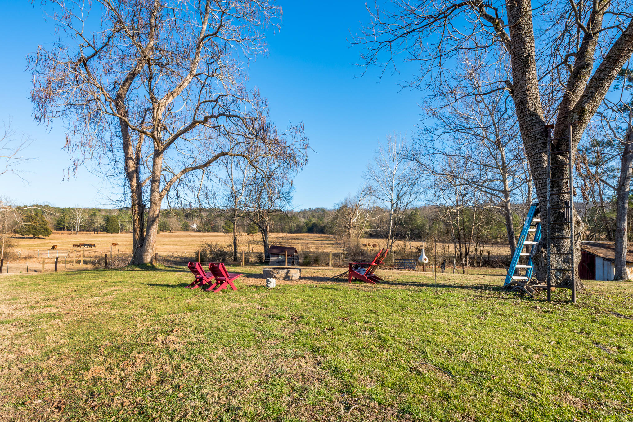 293 Dry Valley Road Rossville, GA 30741 - Photo 32 of 37 DSC_1870-7