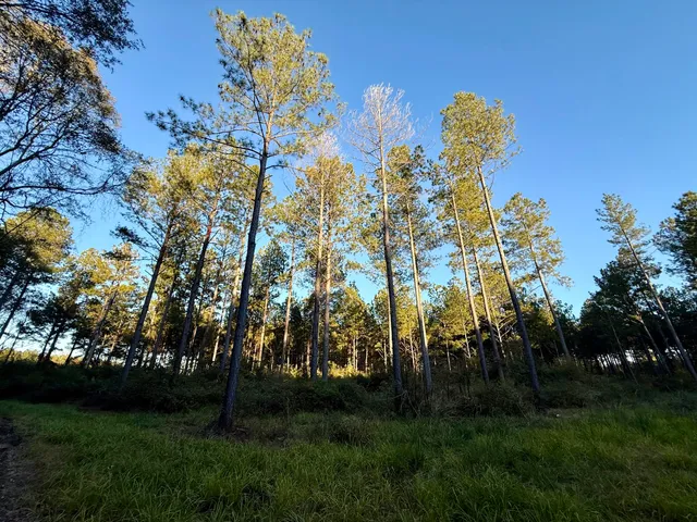 $74,500 | 0 Christian Road, McCormick, SC 29835