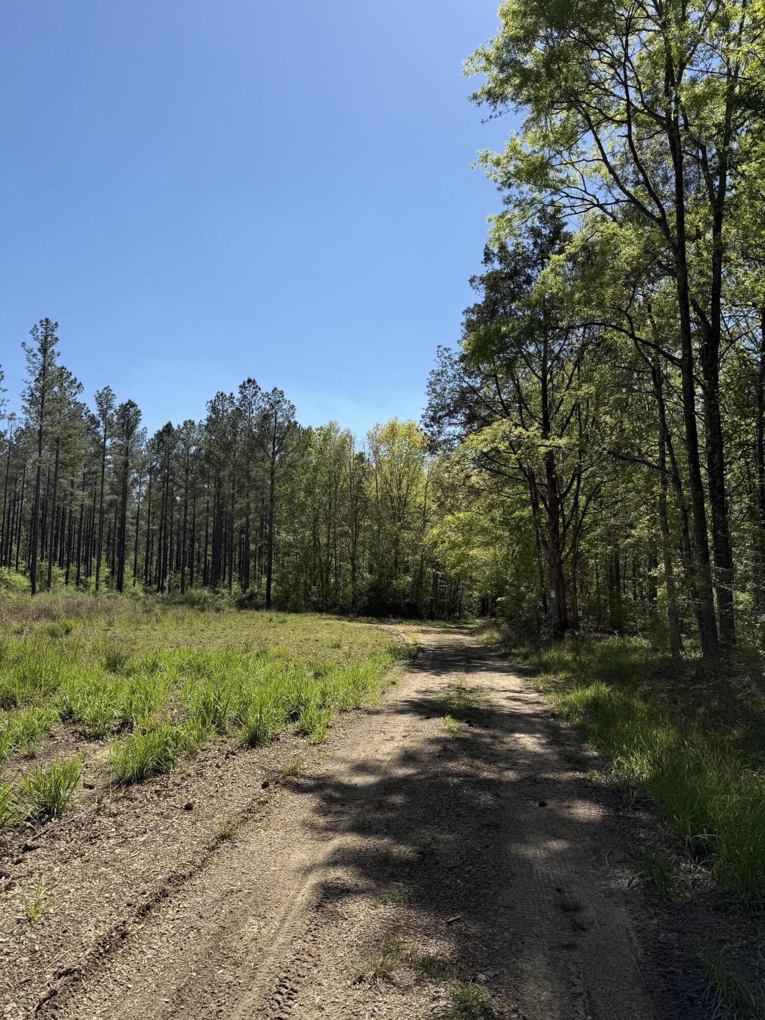 0 Christian Road McCormick, SC 29835 - Photo 4 of 8 IMG_8439