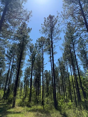 $74,500 | 0 Christian Road, McCormick, SC 29835