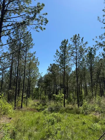 $74,500 | 0 Christian Road, McCormick, SC 29835