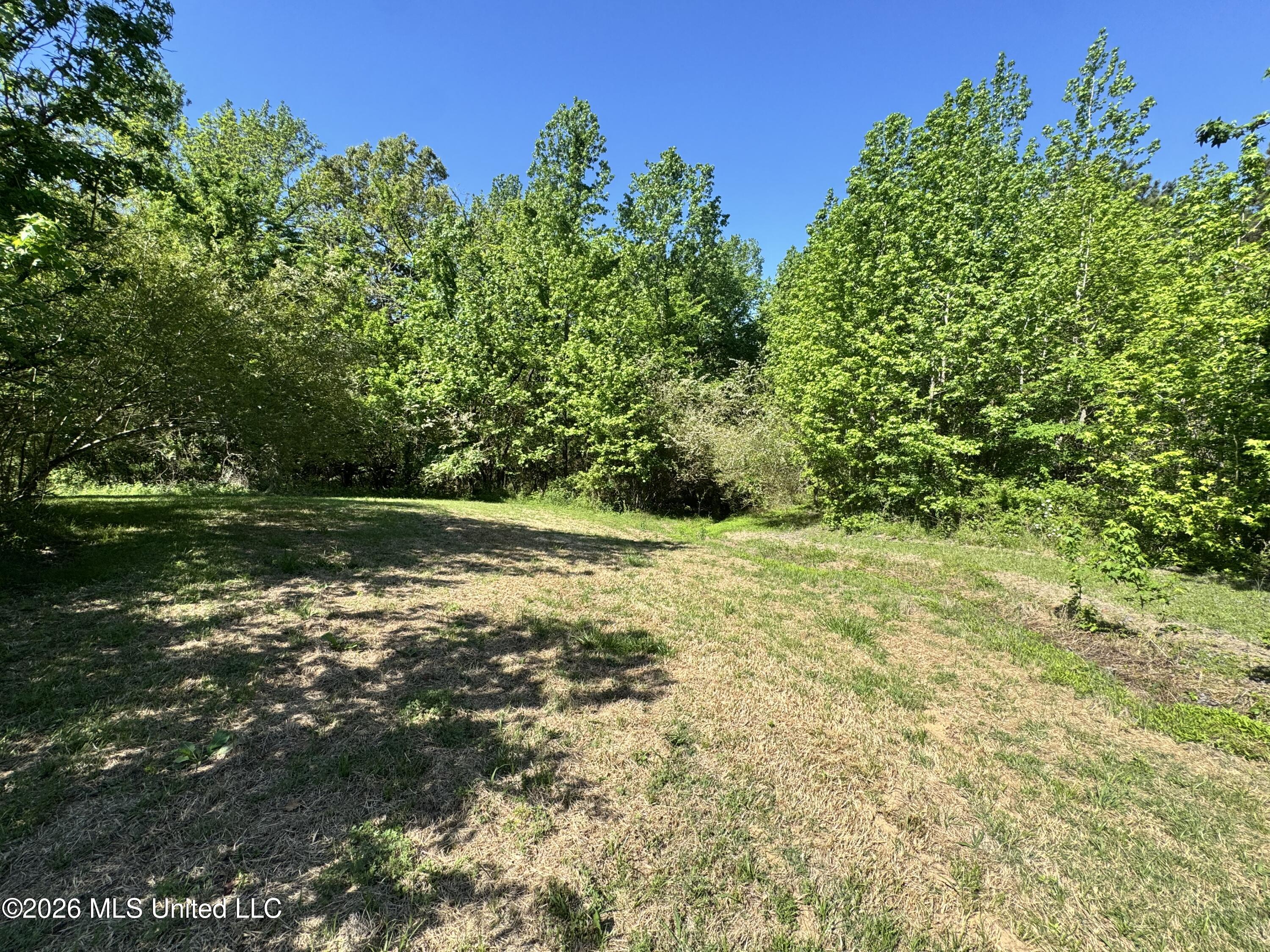 107 Union Valley Road Byhalia, MS 38611 - Photo 5 of 12 IMG_7333