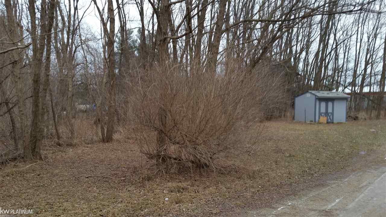 7202 Gardner Line Road Lexington, MI 48450 - Photo 2 of 3 31312603-1.JPG