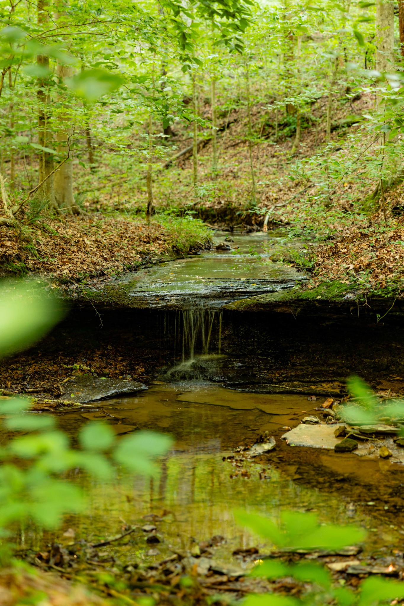 0 Robinson Road Franklin, TN 37064 - Photo 10 of 28