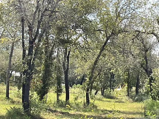 a view of yard with green space