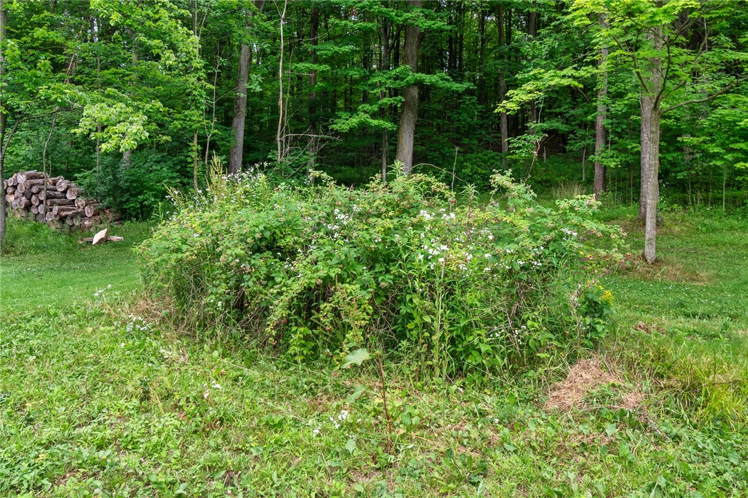 871 Stafford Road Manchester, NY 14548 - Photo 12 of 47