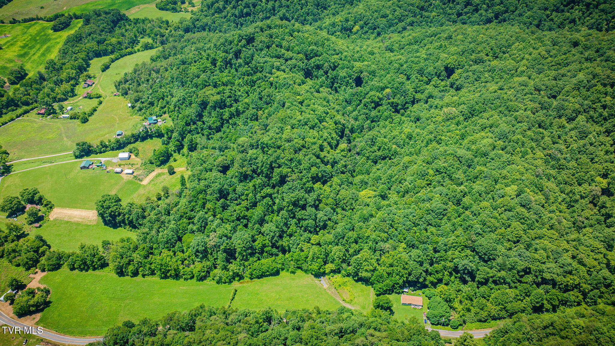Tbd Hickory Cove Road Rogersville, TN 37857 - Photo 1 of 17 101