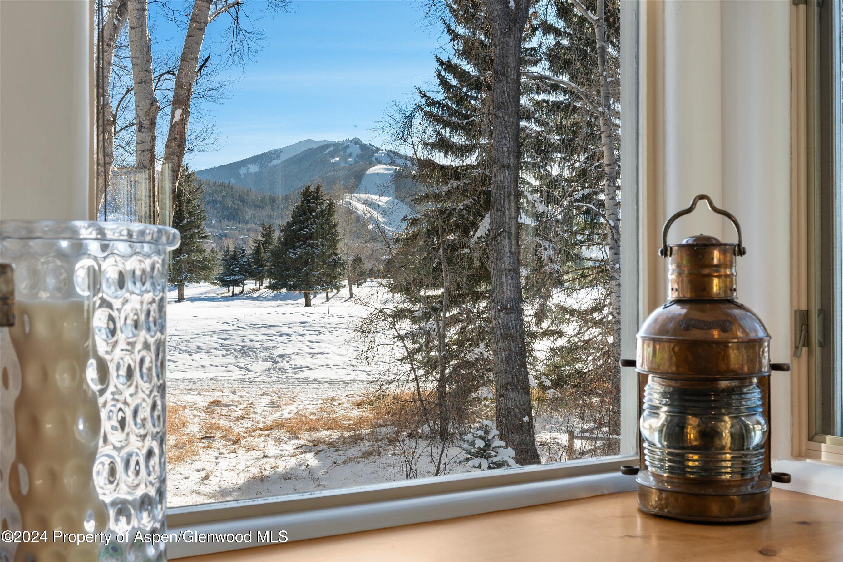 825 Cemetery Lane, Unit 2 Aspen, CO 81611 - Photo 18 of 47 a view of a glass door and porch