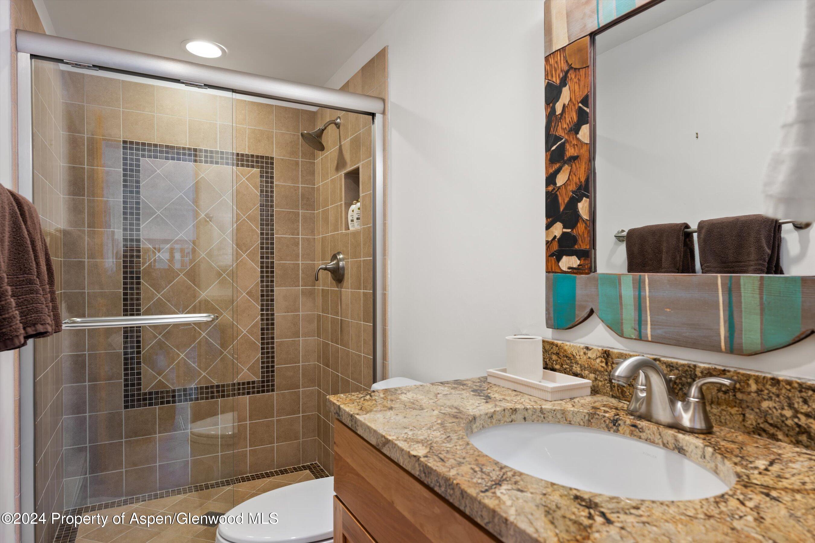 825 Cemetery Lane, Unit 2 Aspen, CO 81611 - Photo 31 of 47 a bathroom with a granite countertop sink a toilet and shower