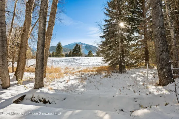 a view of a yard with snow on the road