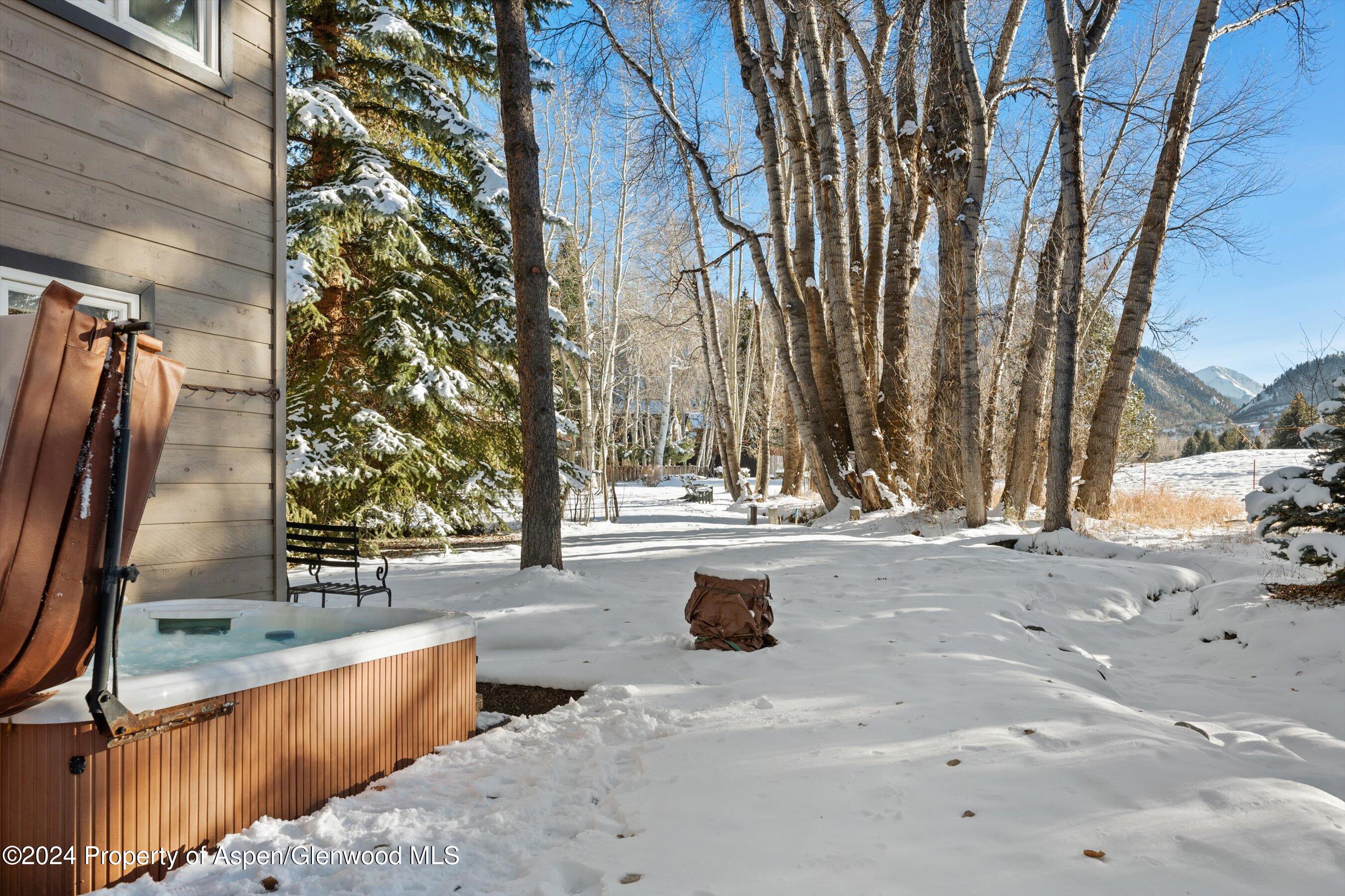 825 Cemetery Lane, Unit 2 Aspen, CO 81611 - Photo 43 of 47 a view of outdoor space with trees