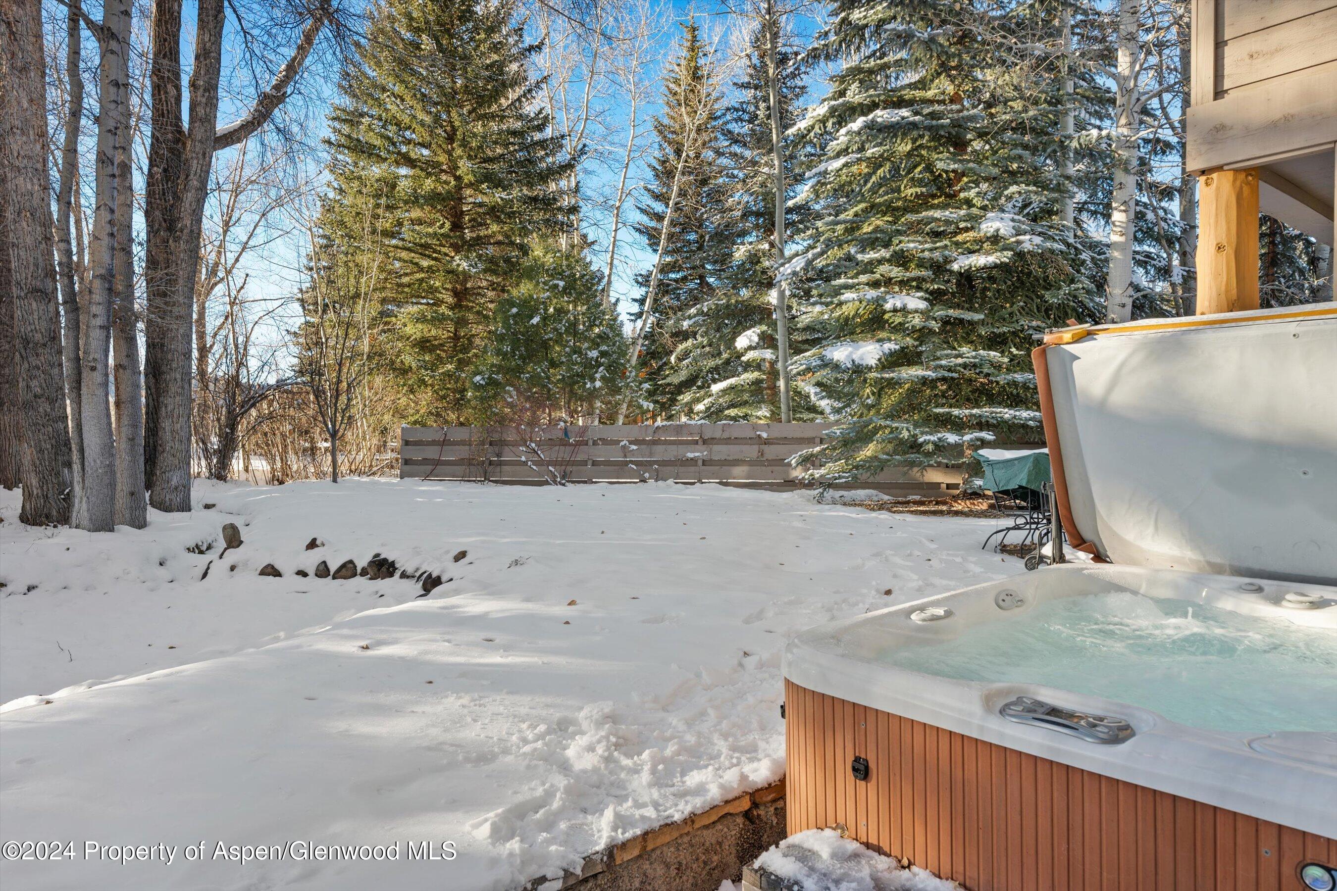 825 Cemetery Lane, Unit 2 Aspen, CO 81611 - Photo 44 of 47