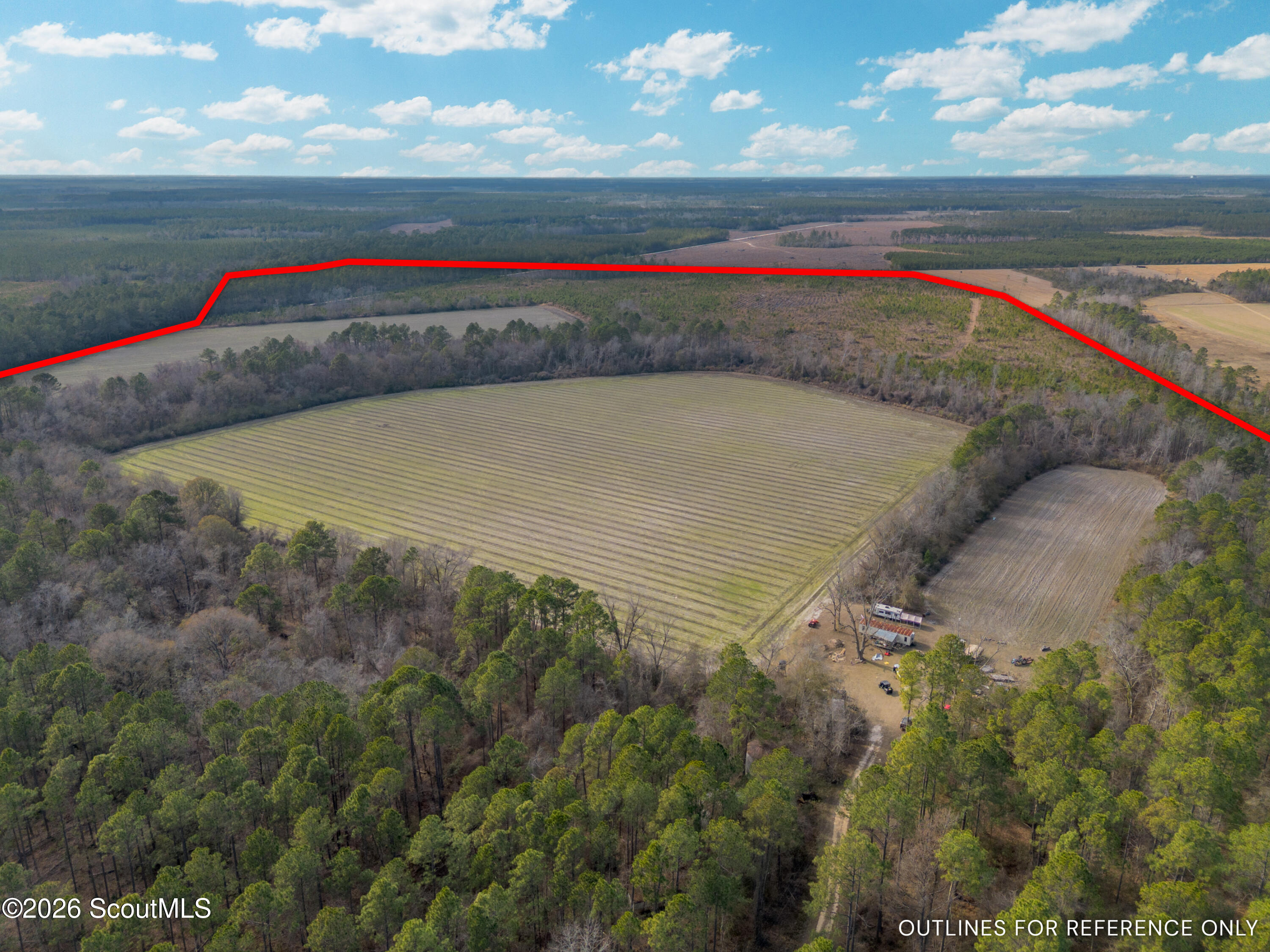 0 Reddish Road Odum, GA 31555 - Photo 8 of 46 230-AC-REDDISH-ODUM-7