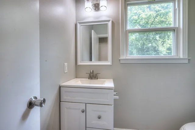 a bathroom with a sink a vanity and a toilet