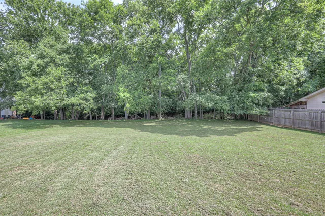 a view of a backyard