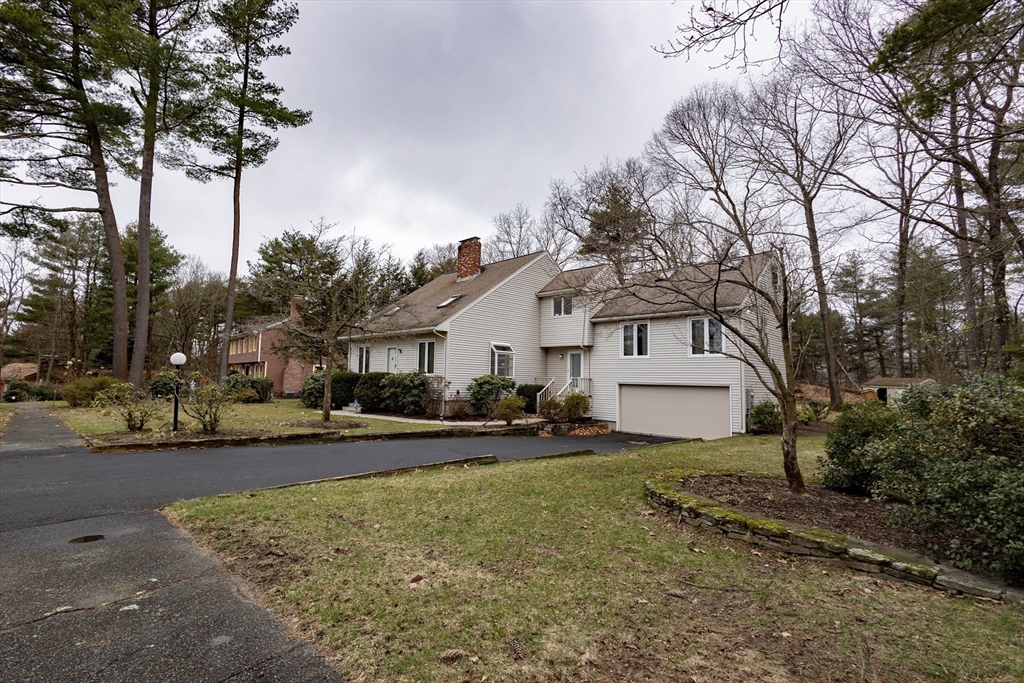 10 Nancy Road Natick, MA 01760 - Photo 2 of 19 a white house that has a tree in front of it