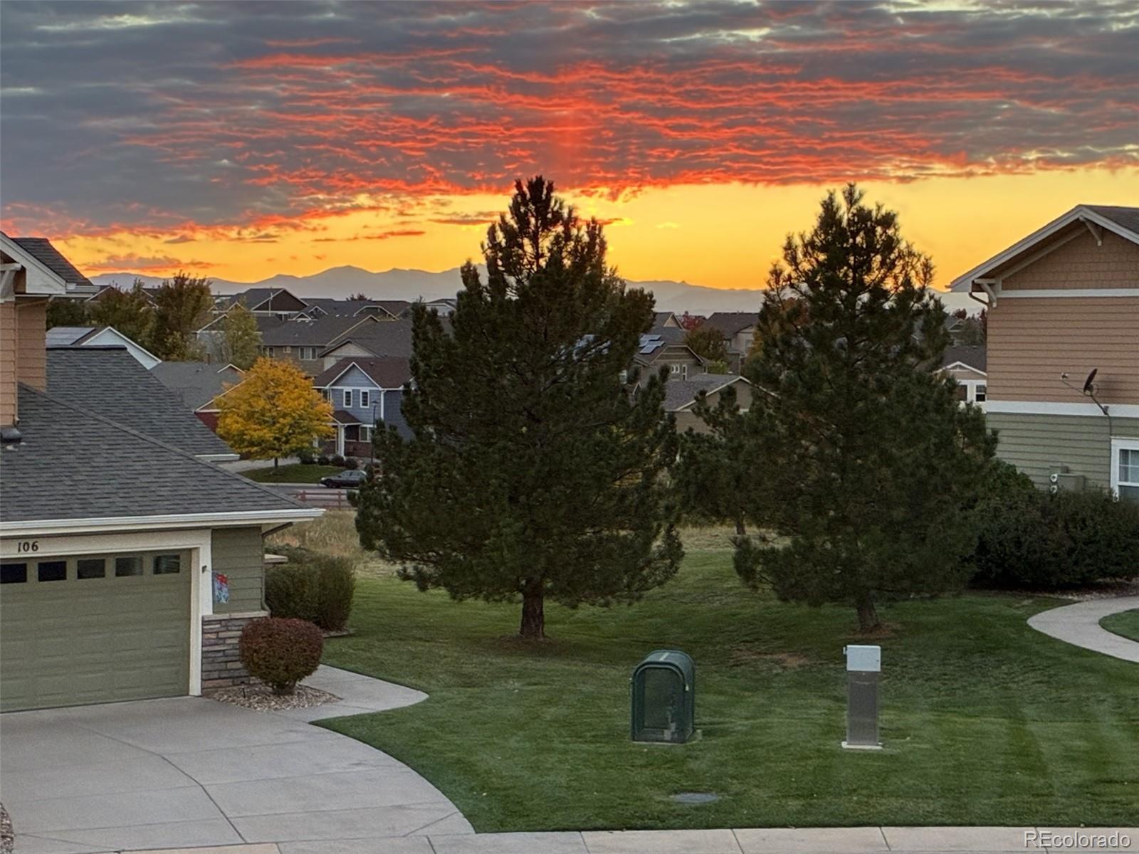 a view of a garden with a building in the background