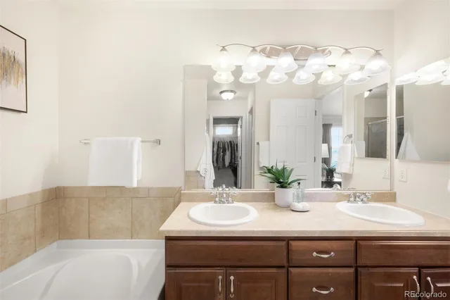 a bathroom with a sink a large mirror and a bathtub