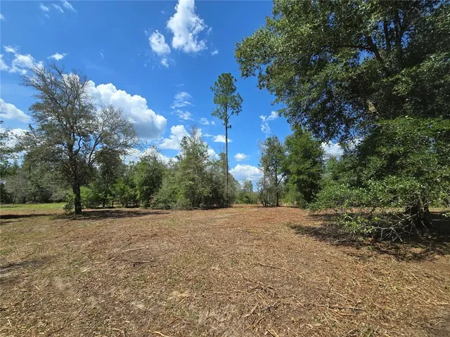 an aerial view of a swimming pool
