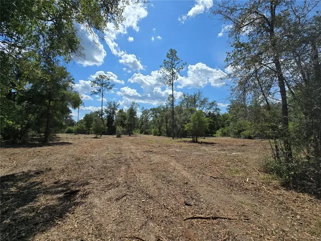 a view of a forest from a balcony