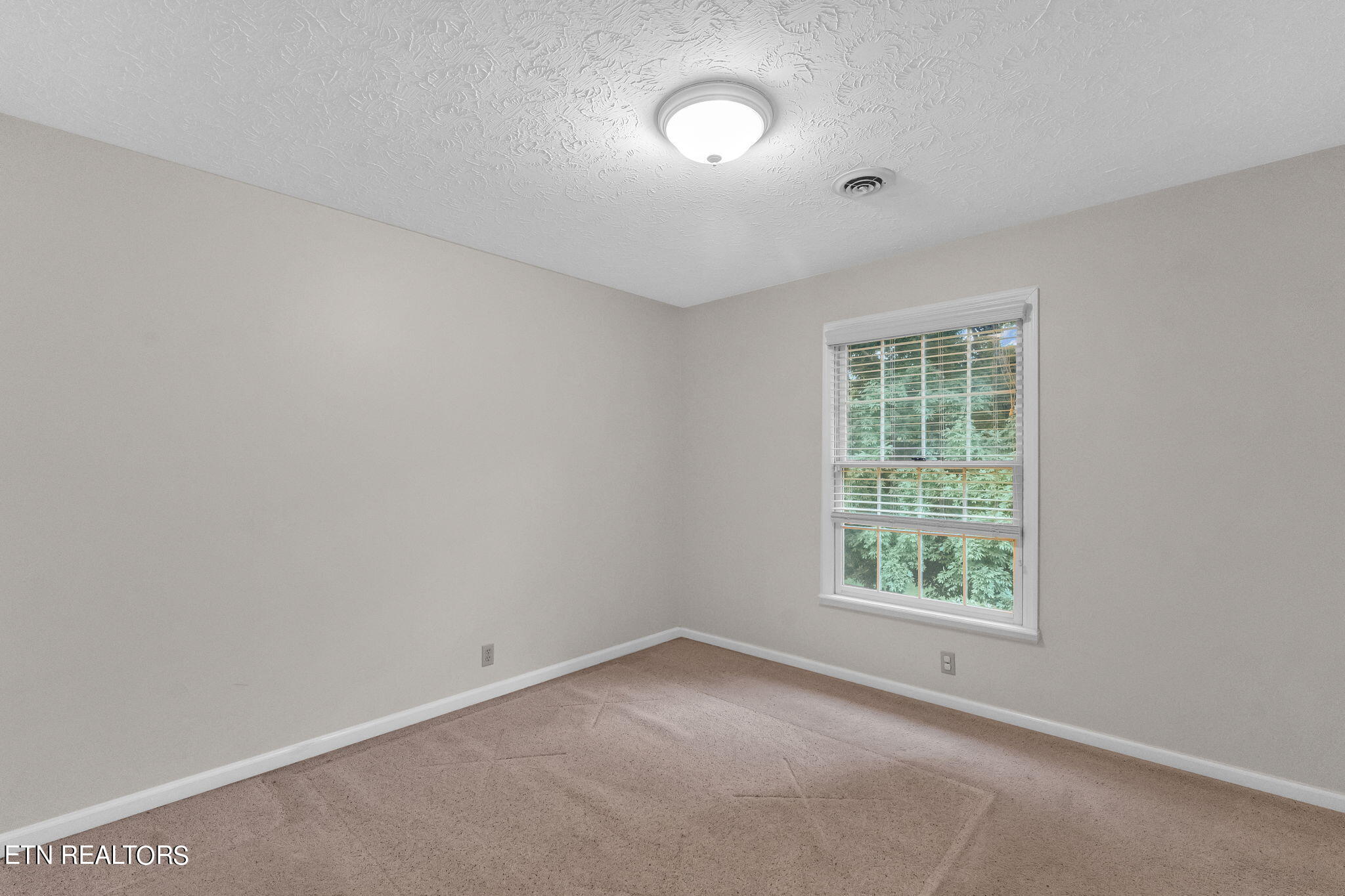 1116 Bluff View Road Southwest Knoxville, TN 37919 - Photo 28 of 60 34-web-or-mls-DSC05773