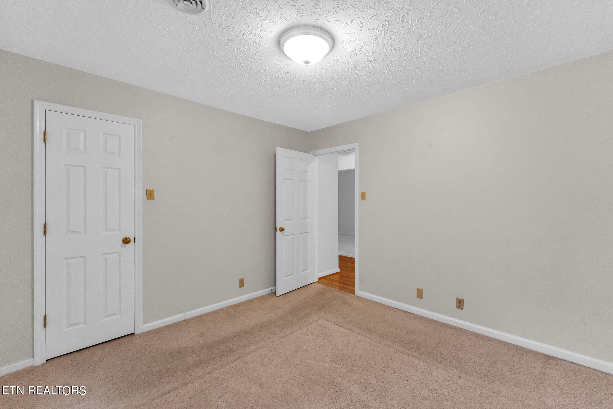 1116 Bluff View Road Southwest Knoxville, TN 37919 - Photo 29 of 60 35-web-or-mls-DSC05776