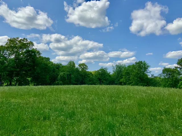 a view of an outdoor space and a yard