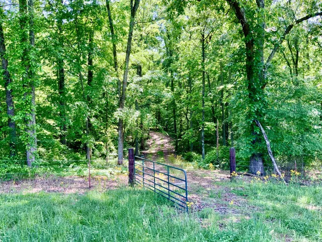 a view of backyard with green space