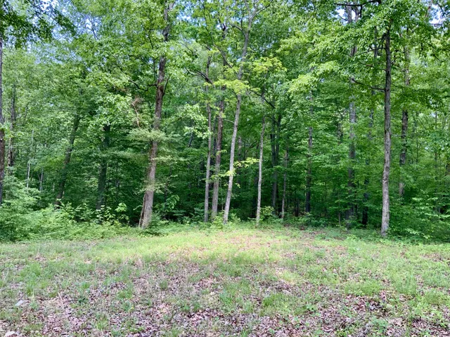 a view of outdoor space with green field and trees