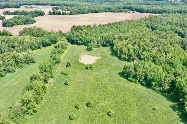 a view of a green yard with large trees
