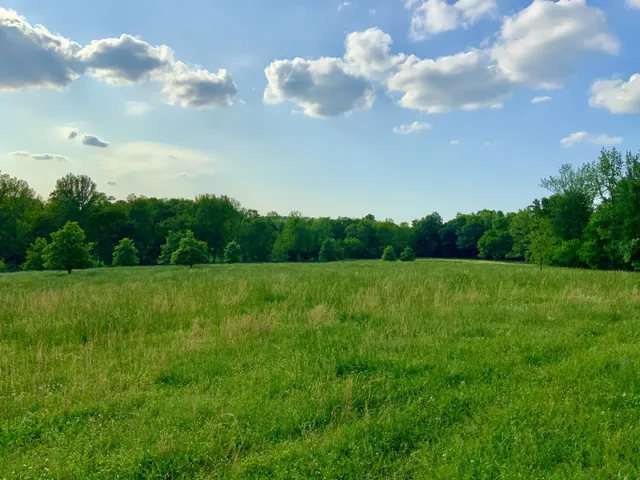 a view of field with trees in the background