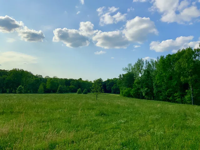 a view of a grassy field