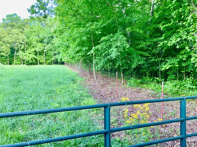a view of outdoor space and yard