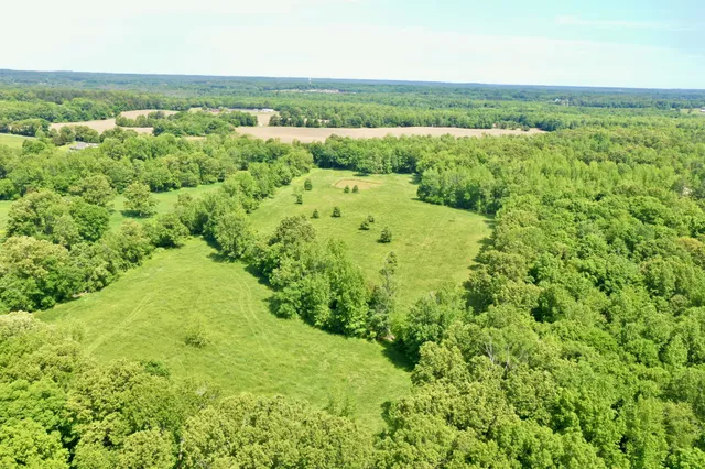 an aerial view of residential houses with outdoor space and trees