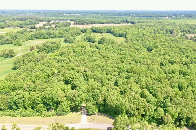 a view of a big yard with lots of green space