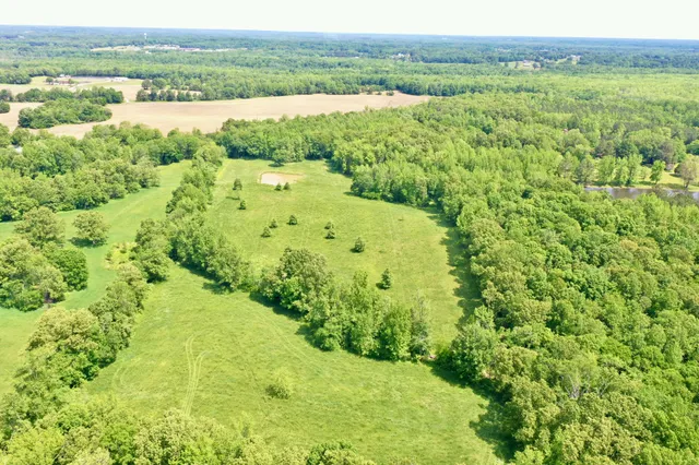 a view of a lush green forest with a lake view and mountain view