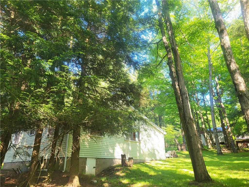 2081 Knapp Road Spartansburg, PA 16434 - Photo 46 of 50