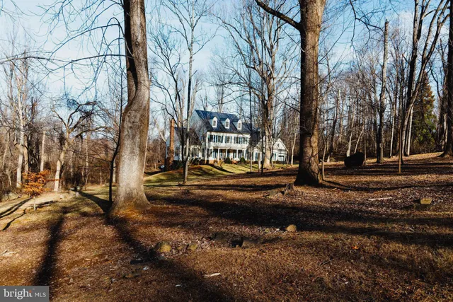 a view of a yard with a fountain