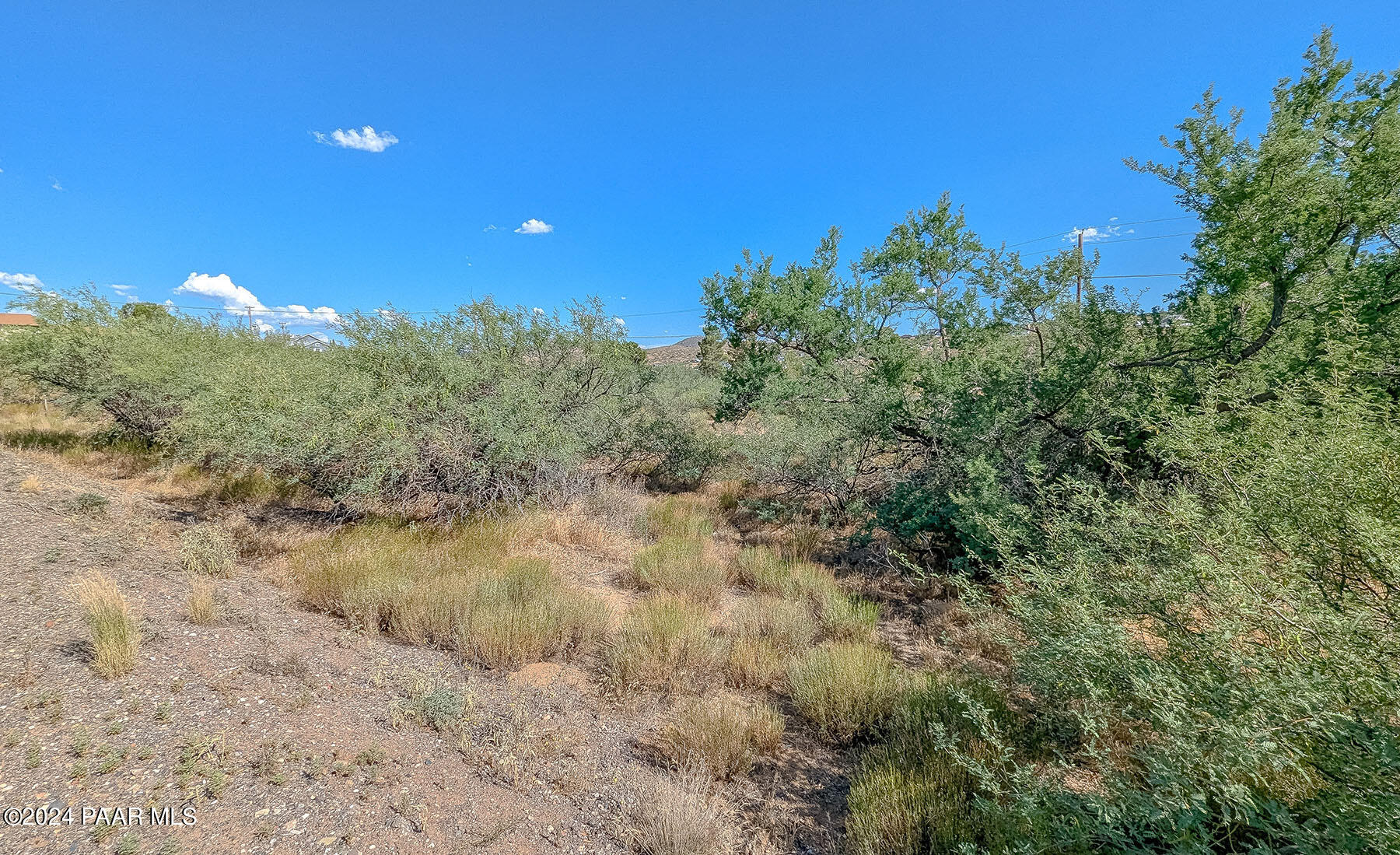 20265 East Lakeside Road Mayer, AZ 86333 - Photo 16 of 20 a view of a field with a tree in the background