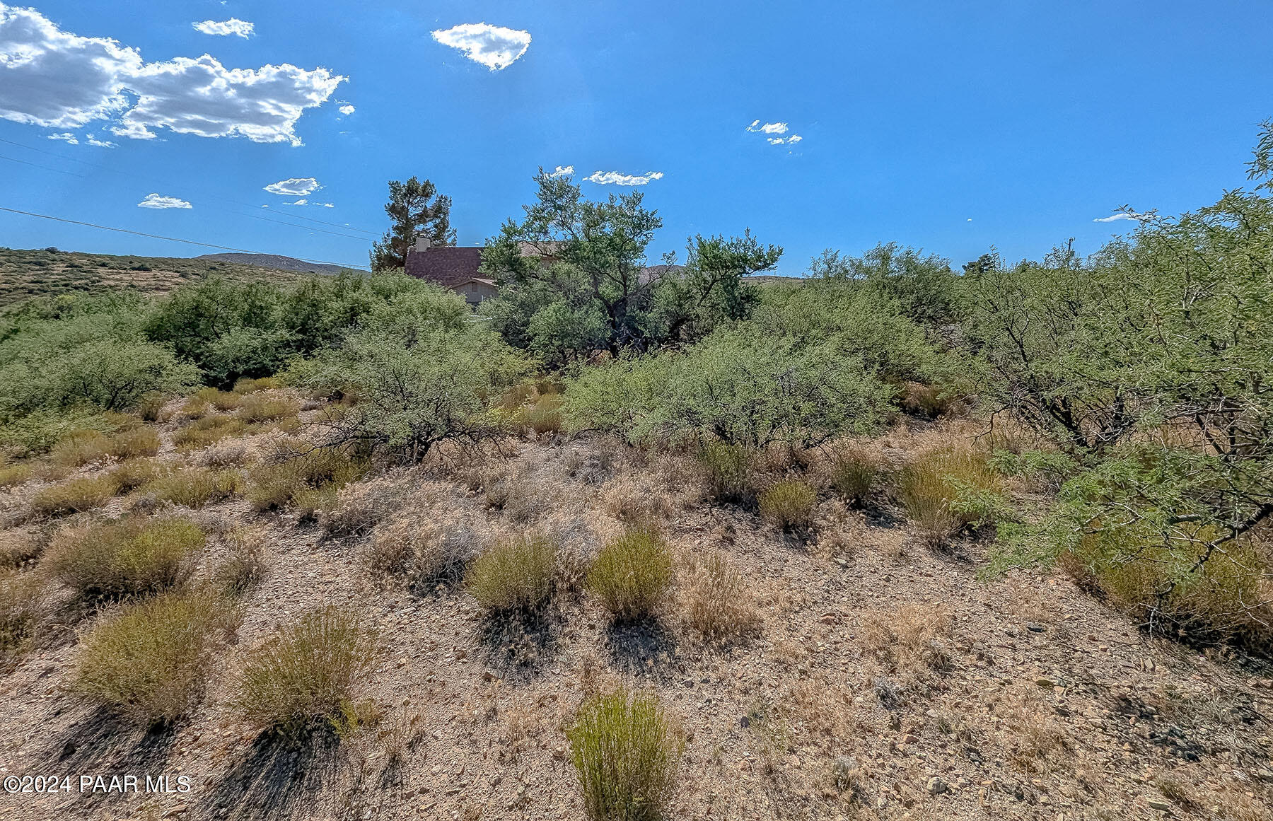 20265 East Lakeside Road Mayer, AZ 86333 - Photo 4 of 20 a view of a big yard with lots of green space